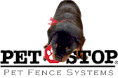Training pets to understand